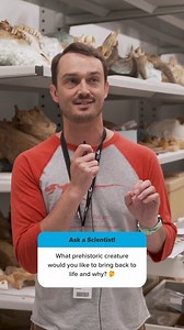 Putting our paleontologists on the spot 🎤 The Science Museum is going to the Minnesota State Fair and we want to hear from you! Got a question about fossils, climate change, or anything science-related? Share your questions below and our experts will tackle them live from the fair 🎡 | Science Museum of Minnesota
