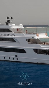 🌊 Neu. Sicher. Persönlich. Tauchurlaub auf der brandneuen M/Y Alsuraya – jetzt live erleben! 📅 1.–8. November 2025 📍 Route: Brothers, Daedalus & Elphinstone (BDE) 🎁 Exklusiv für taucher.net-Leser: Marineparkgebühr geschenkt! Liebe Community, habt ihr Lust, etwas Neues auszuprobieren? Dann kommt mit an Bord der 2024 gebauten M/Y Alsuraya und helft mit, den nächsten Standard für Qualität und Sicherheit zu setzen! ✨ Was euch erwartet: – Keine Unterdeckkabinen – nur helle Kabinen mit Tageslicht 