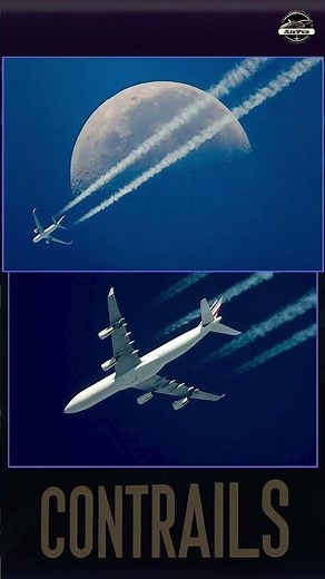 What are contrails? Do you know about them?