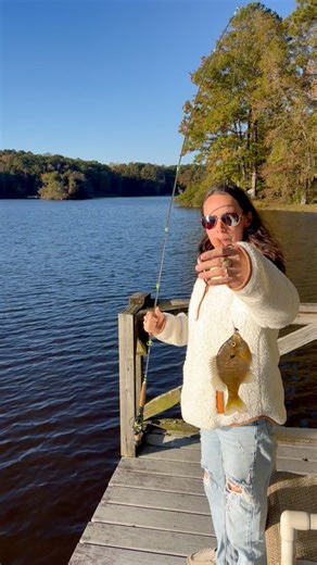 We caught about a dozen in an hour on the Precision Cast Rod from Catch The Fever #fishing #bluegill #fishinggear #goodtimes #outdoorliving #fyp | Grassy Island Charters