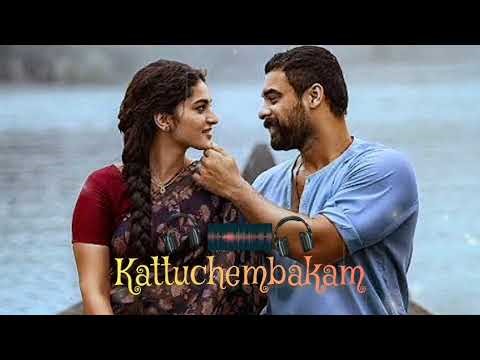 Kaattuchembakam song #Tovino#song#malayalam#lyrics#malayalam#song