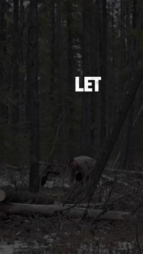 Mountain Shadow Designs 🇨🇦 (@mountainshadowdesigns)’s videos with original sound - Mountain Shadow Designs 🇨🇦