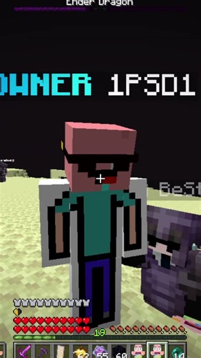 @PSD1 Bounty On me In Lifesteal Public Server