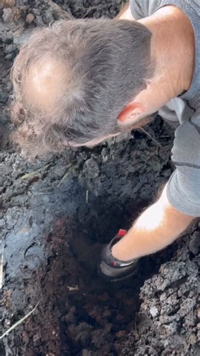 Digging an 1880s privy in Charleston and finding a beautiful antique wine bottle! Sure it’s slick, but it’s clean 🧼 | lowcountryfossilhunter
