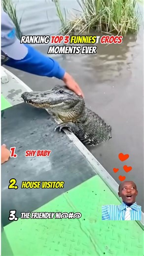 Funniest crocodile Moments you’ll ever see🤣#shorts