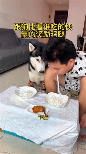 Thanks for 52 k ust playing with my dog not tease him #fb #funnyreels #doglover #fun #playtime #viral #dog #fypシ | Pet Passion Hub