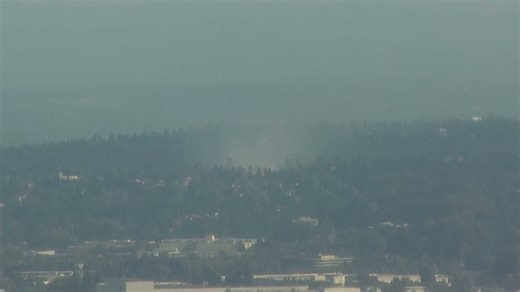 Brush fire contained after threatening nearby strip mall in Tukwila