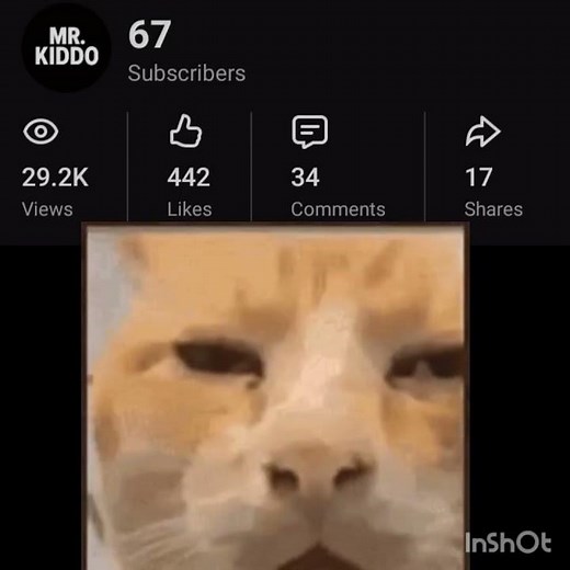 😳😳😳 #cat #remix #song #pianocover #dj