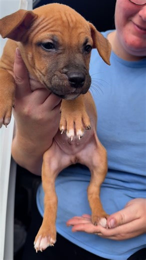 Ready Red on Instagram