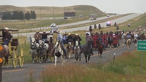 103K views · 4.3K reactions | Cheyenne Frontier Days™ will drive nearly 550 head of Corriente steers from the pasture north of Cheyenne along I-25, and through the city streets into Frontier Park on Sunday, July 14. The drive begins at approximately 7:30 a.m. | Cheyenne Frontier Days™ | Facebook