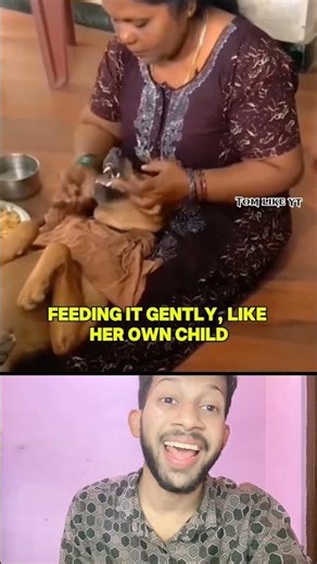 Not just a dog ||Reaction videos ||||Tom like yt #reaction #reactionvideo