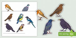 Garden Birds Display Cut-Outs