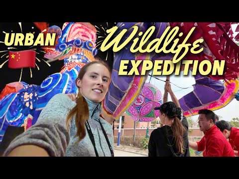 World's most gigantic lion dance?? 😳 2-story-tall creatures overtake the streets!