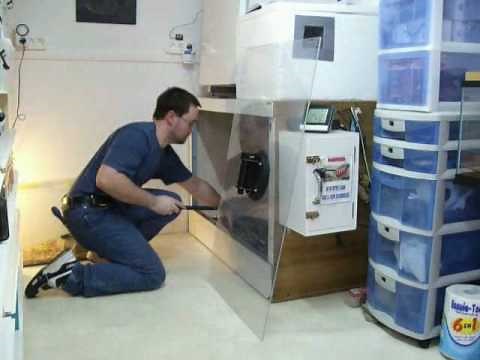 Manipulation de Python molurus bivittatus