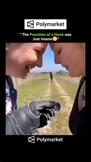 Infonetx on Instagram: "A hawk doesn’t just see its target — it calculates it. From hundreds of feet in the air, its vision locks onto the smallest movement on the ground. Every wing adjustment, every head tilt, every dive is guided by pure physics and biological perfection. Hawks can spot prey up to 8 times farther than humans, compensate for wind resistance, and strike with millisecond timing. Their talons close with pinpoint accuracy, making the hunt look effortless — but it’s the result of e