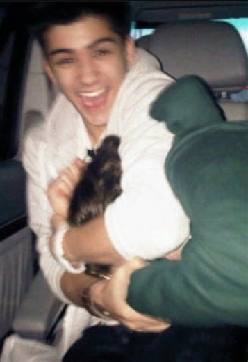 Zarry: A Heartfelt Journey in Directioner Culture