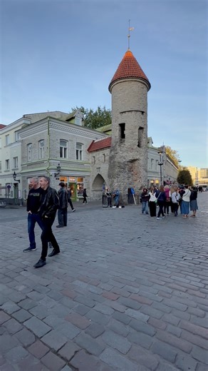 19K views · 1K reactions |  Tallinn’s Old Town — where history meets fairytale #travel #tallinn #fblifestyle #europe #tourism | Travel Gallery | Facebook