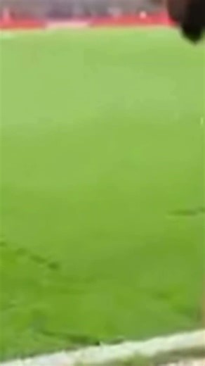 reporter gets hit with a football on the sidelines interviewing a player #premierleagueshorts