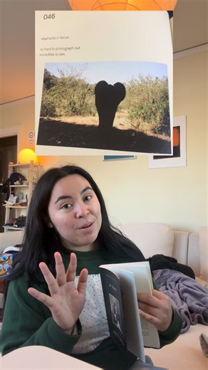 aurora on Instagram: "m train by patti smith review :) #bookreviewersofinstagram #bookreview #reading #bookworm #explore #reels"