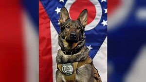State Fire Marshal welcomes explosion detection K-9 with swearing-in ceremony