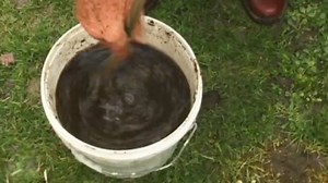 One Man, One Cow, One Planet | Film | NZ On Screen