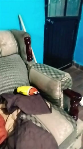 murder mistery 2 #roblox