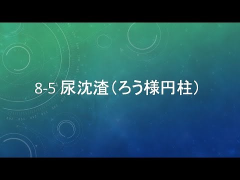 8-5 尿沈渣（ろう様円柱）