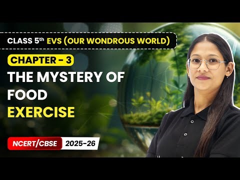 The Mystery of Food - Exercise | Class 5th EVS (Our Wondrous World) | Ch 3 | CBSE 2025