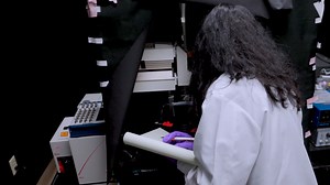 Precise Brain Mapping to Perform Repetitive In Vivo Imaging of Neuro-Immune Dynamics in Mice