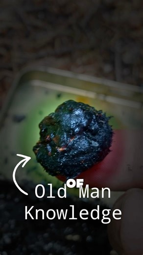 599K views · 13K reactions | Strange but USEFUL Survival Skill - Patch a Canoe with Tree Sap #survival #outdoors | The Bear Essentials Outdoors Co. | Facebook