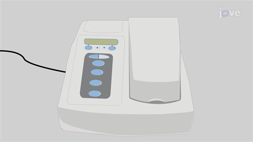 Video: Fluorescence Anisotropy-Based Detection of Protein-Protein Interactions - Experiment