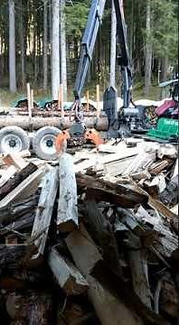 SpaltFast - BaSt-Ing - Handyvideo - Fichten spalten Teil #4