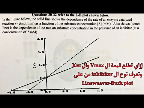 How to calculate Km and Vmax from a Lineweaver-Burk plot?