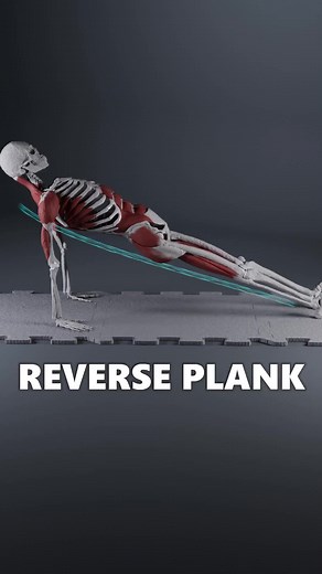 Strengthen Your Posterior Chain with Reverse Plank