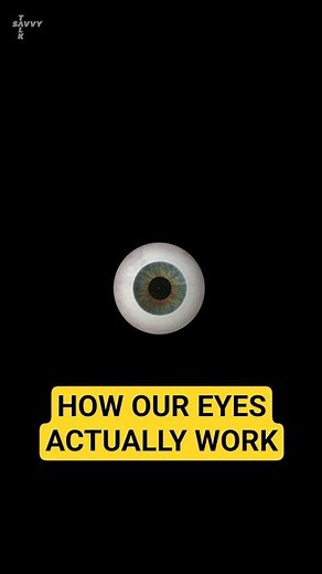 How Our Eyes Actually See The World