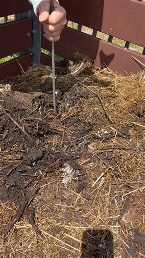 1.5M views · 3.1K reactions | Chris, our composting guru!, along with Helen and Brigitte have been creating the Gardens’ own compost using garden refuse, donated coffee grounds and old hay. Look at this gorgeous goodness after only a couple of months. Working towards making our Gardens more self sustainable , with nothing going to waste.  | Our Community Garden - Collie | Facebook