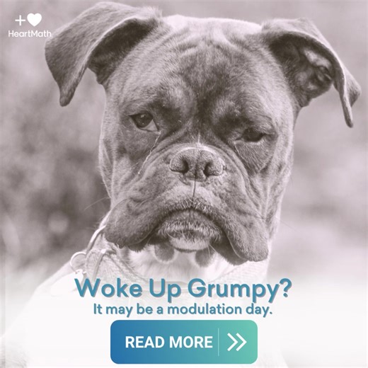 What do you do when you wake up and, for no apparent reason, you feel out of sorts, grumpy, low energy, anxious, and just not connected to your heart in general? Read/watch this video blog post to find out https://www.heartmath.com/blog/article/what-do-you-do-when-you-wake-up-grumpy/ #grumpy #moods #anxious #irritated #brain #mind #emotions #self-care #compassion #millennials #genz | HeartMath