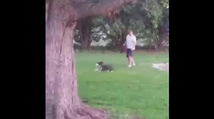 doGGO is GONE | To be continued Memes