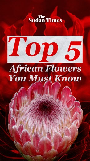 Top 5 African flowers you must know. #Africa #Flowers #Nature #Botany | The Sudan Times