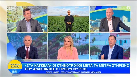 «Στα κάγκελα» οι κτηνοτρόφοι μετά τα μέτρα στήριξης που ανακοίνωσε ο πρωθυπουργός – Καλημέρα Ελλάδα – 24/04/2026