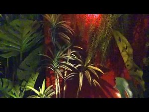 【ハッテン場潜入】まるで都会のジャングル？『BEARS CAMP』に潜入！