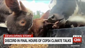 18K views · 69 reactions | People are eating more beef than ever — but at what cost to the earth? https://cnn.it/2GivY9f | CNN Business | Facebook