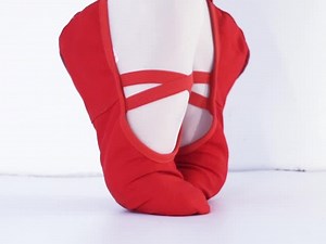 Wholesale High Quality Soft Ballet Shoes Dance Slippers