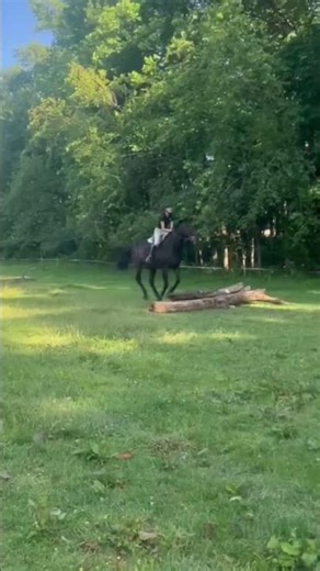 clop wants a career change to cross country