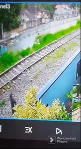 Is this a Pajeet? Who knows