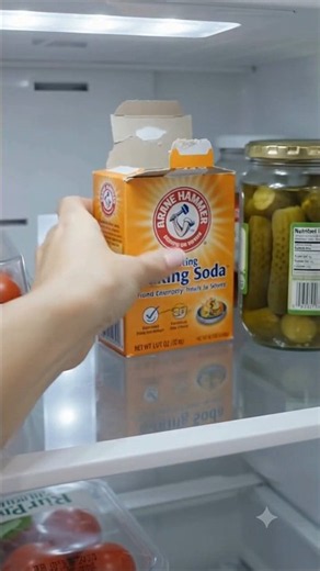 Why Does Your Fridge Smell So Bad?