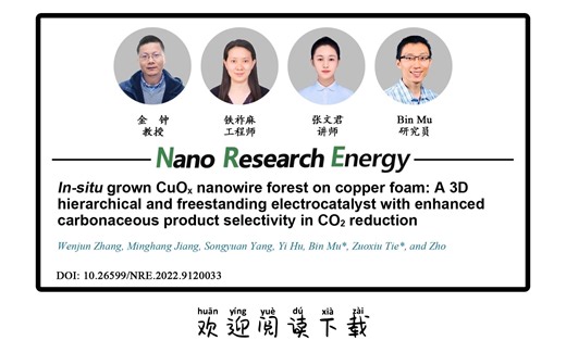 Nano Res. Energy | 南京大学金钟教授团队：CuOx构成的纳米森林让电催化还原高效又稳定