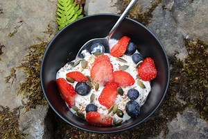 Yogurts • Gestational Diabetes UK