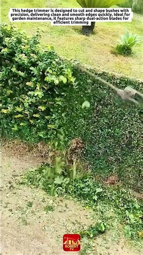 EXTREMELY SATISFYING Hedge Trimming Machine | Perfect Garden Edge Cutting Tool