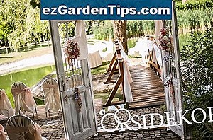 Ültetési útmutató a Hesperaloe Parviflora-hoz 🌱 Tippek Kertészek - Hu.ezGardenTips.com